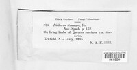 Image Associated With the Occurence